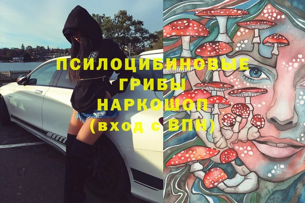 сатива Иннополис