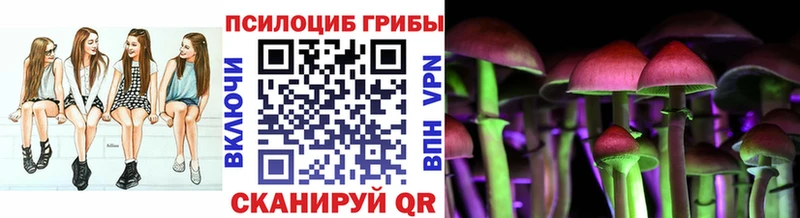 Купить  Южно-Сухокумск  Псилоцибиновые грибы прущие грибы 